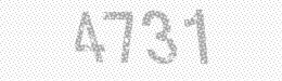 Visual security code — type the characters shown in the image